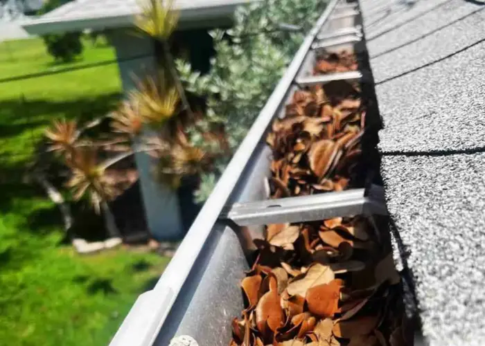 Forest gutter cleaning home page